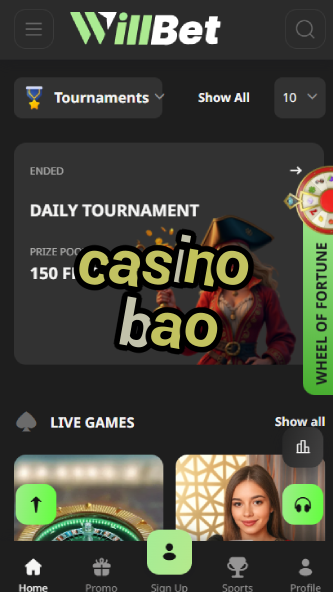 Casino BAO - Best Asian-Themed Casino Games-www.bdqngd.com