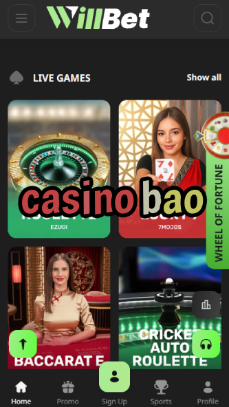 Casino BAO - Best Asian-Themed Casino Games-www.bdqngd.com