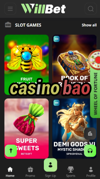 Casino BAO - Best Asian-Themed Casino Games-www.bdqngd.com